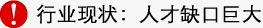 软件测试行业现状-庞大的人才缺口 软件测试行业的人才缺口现状